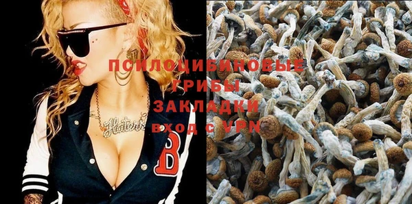 ешки Балахна