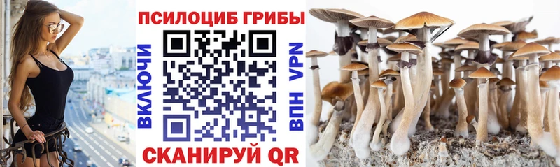Галлюциногенные грибы GOLDEN TEACHER  Белокуриха 